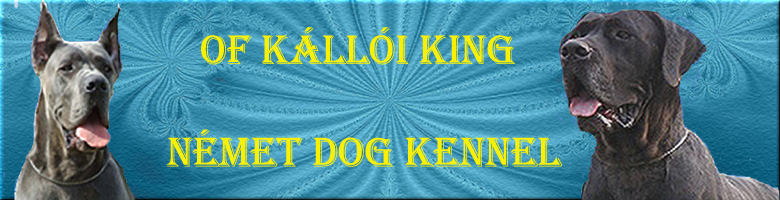 Of Klli King kennel